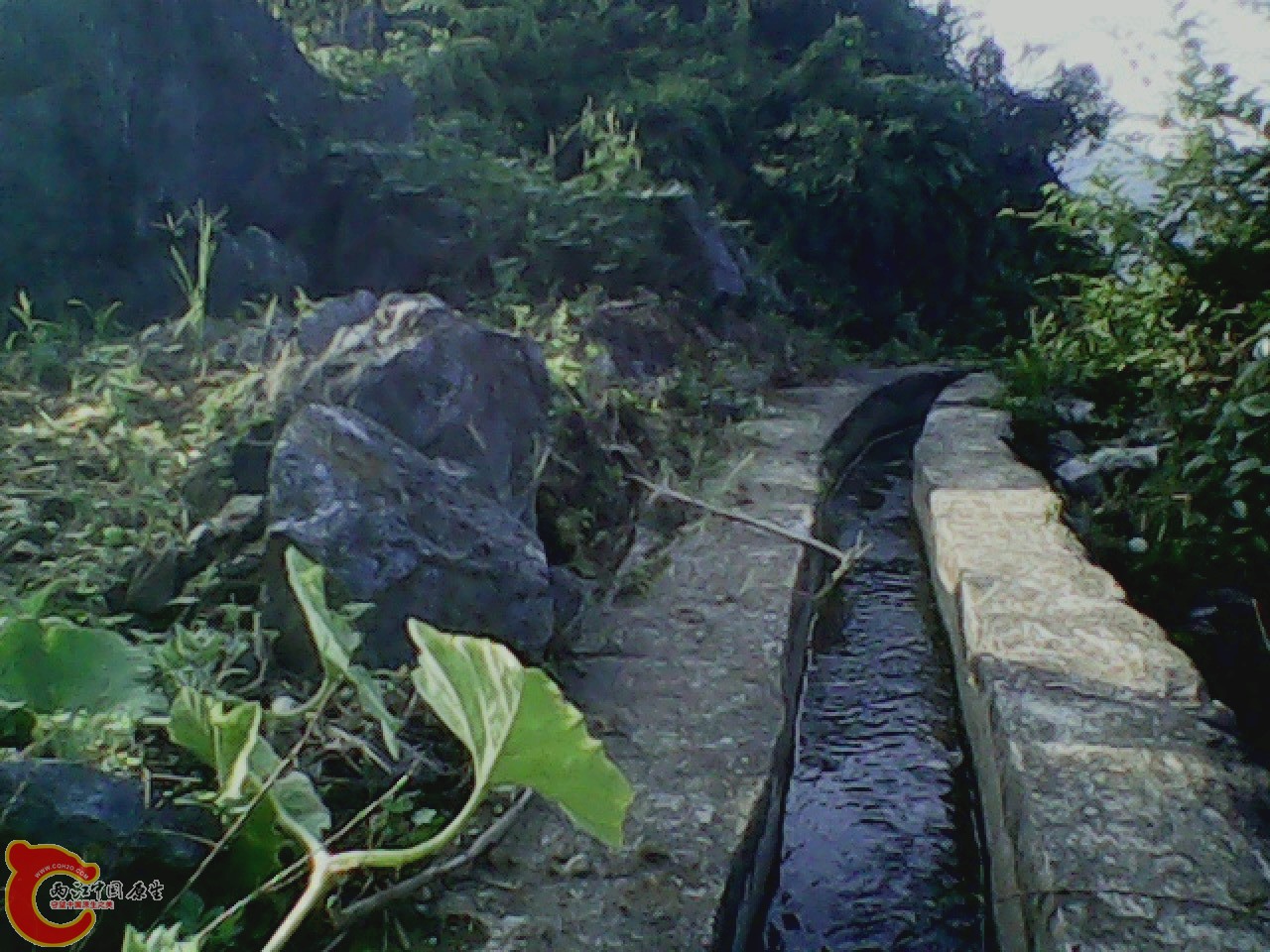 img0926_171727108.jpg