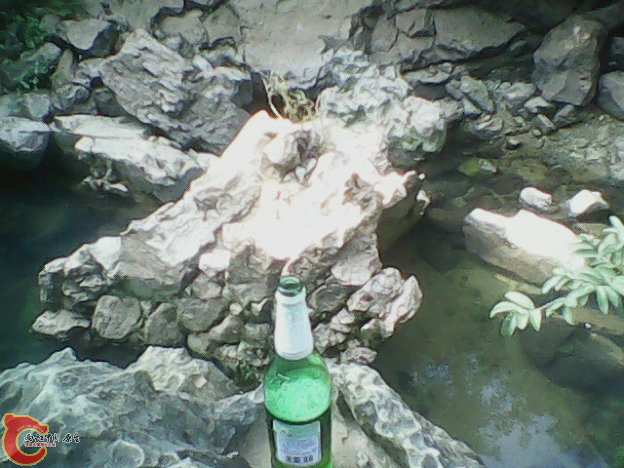 img0811_163319144.jpg