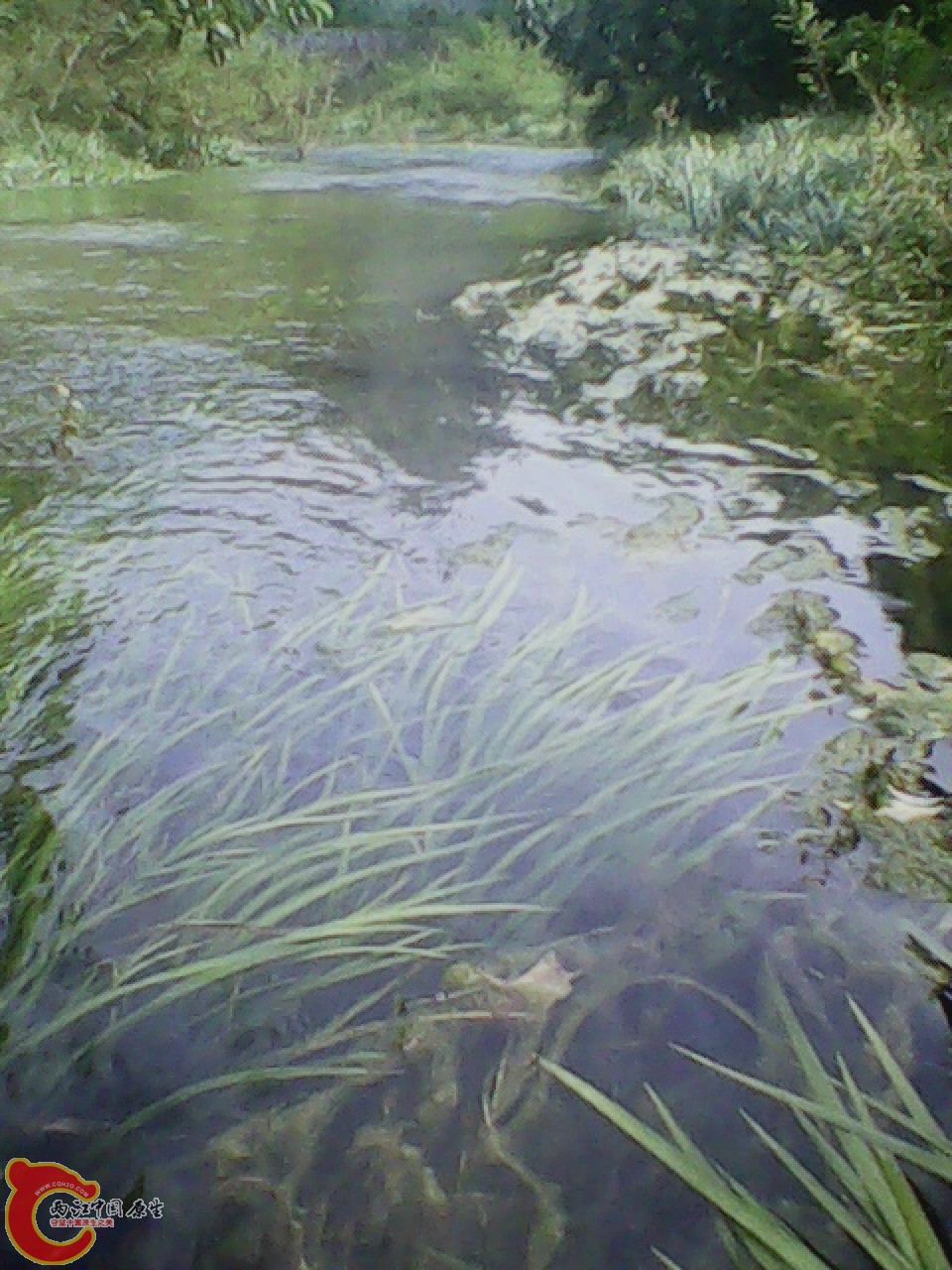 img0804_161542813.jpg