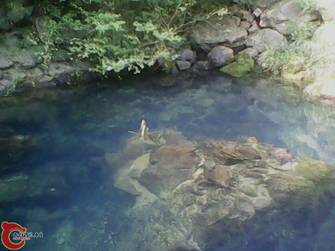img0804_170543253.jpg
