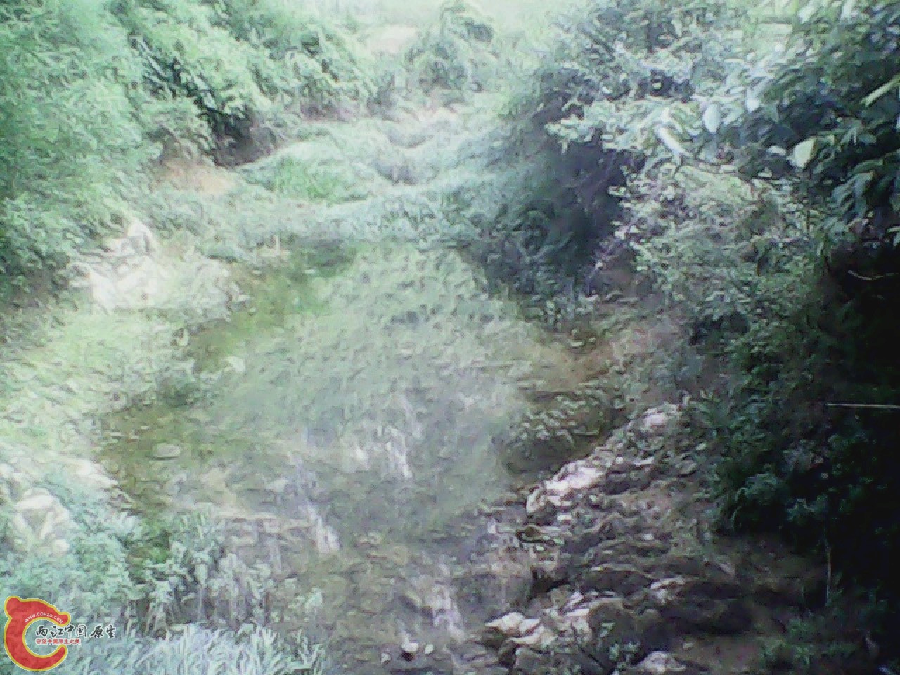 img0811_162606100.jpg