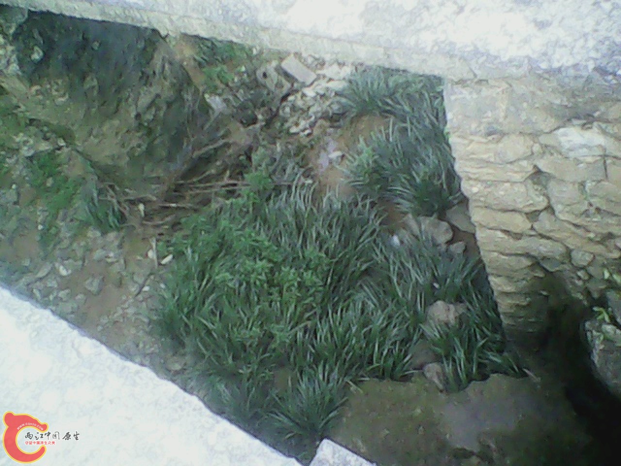 img0811_162919496.jpg