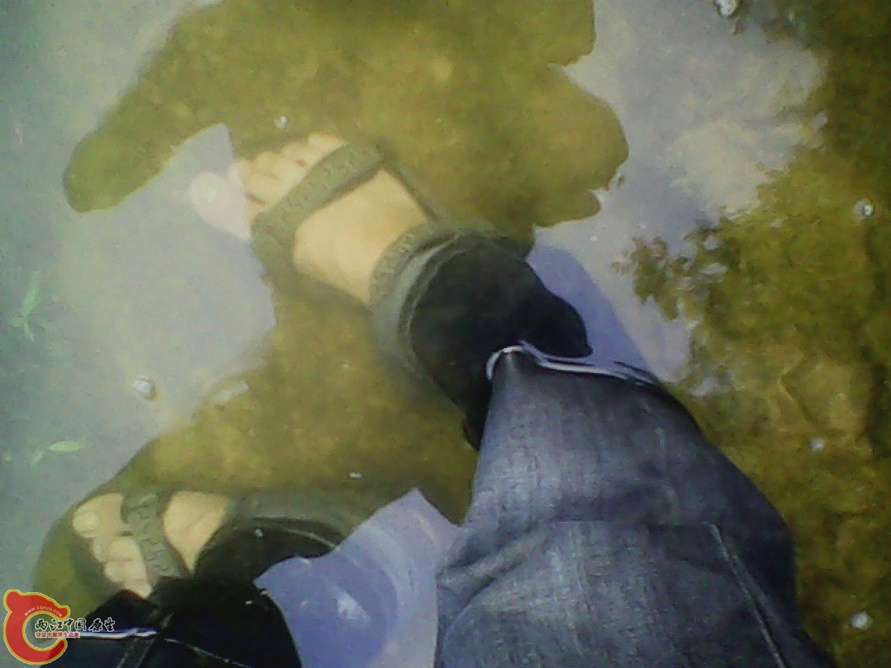 img0811_181014983.jpg