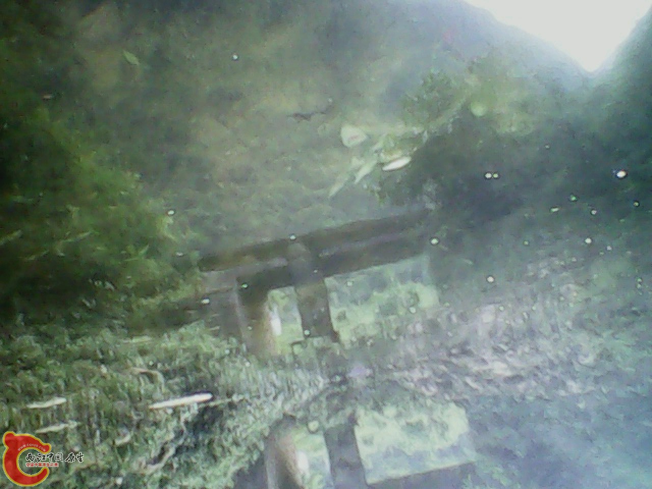 img0811_181035463.jpg