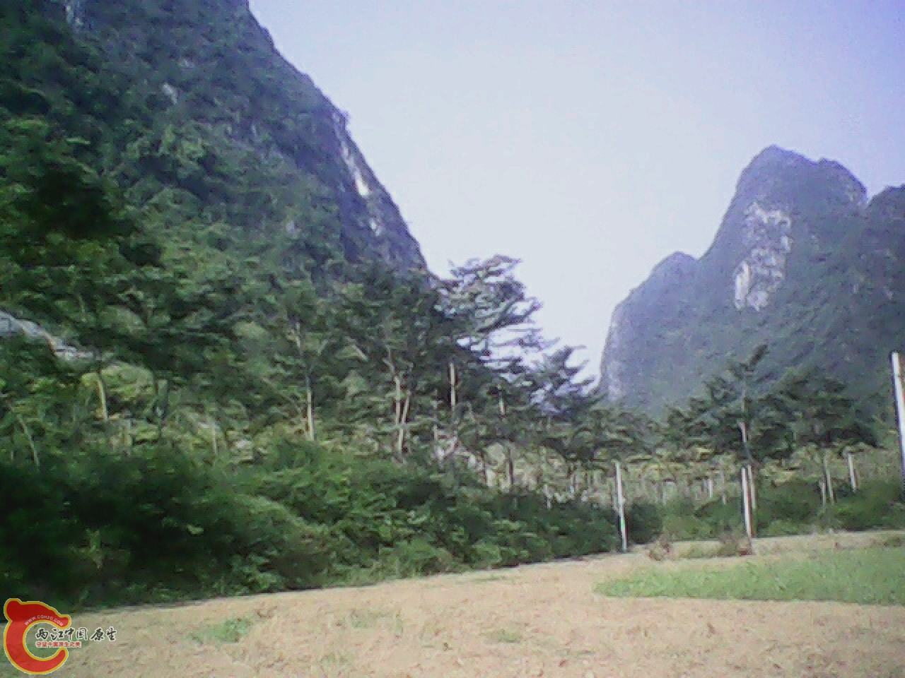 img0811_163105713.jpg