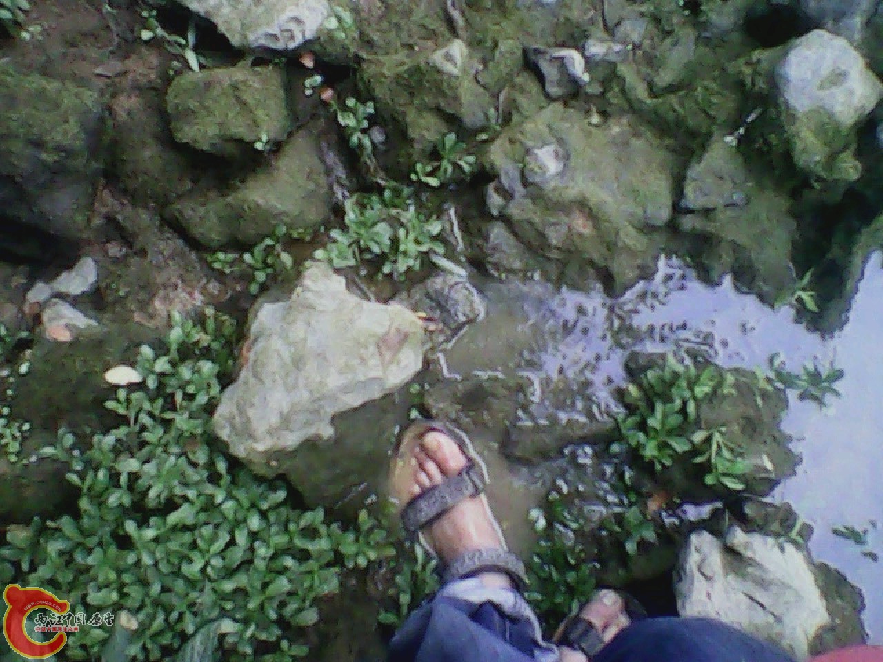 img0811_175013446.jpg