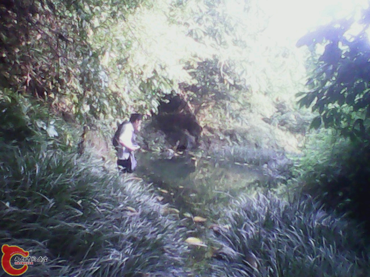 img0811_175129286.jpg