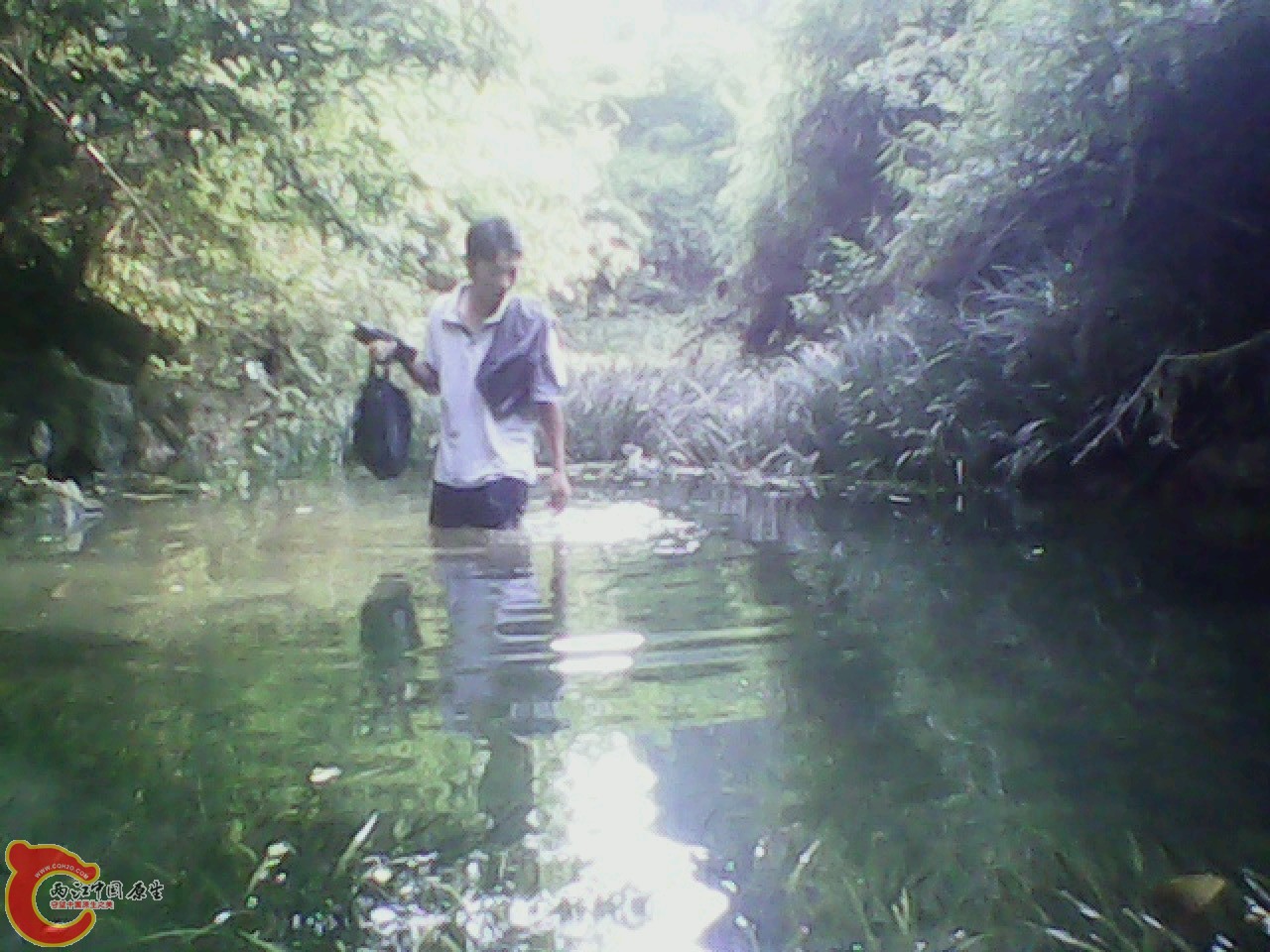 img0811_175312213.jpg