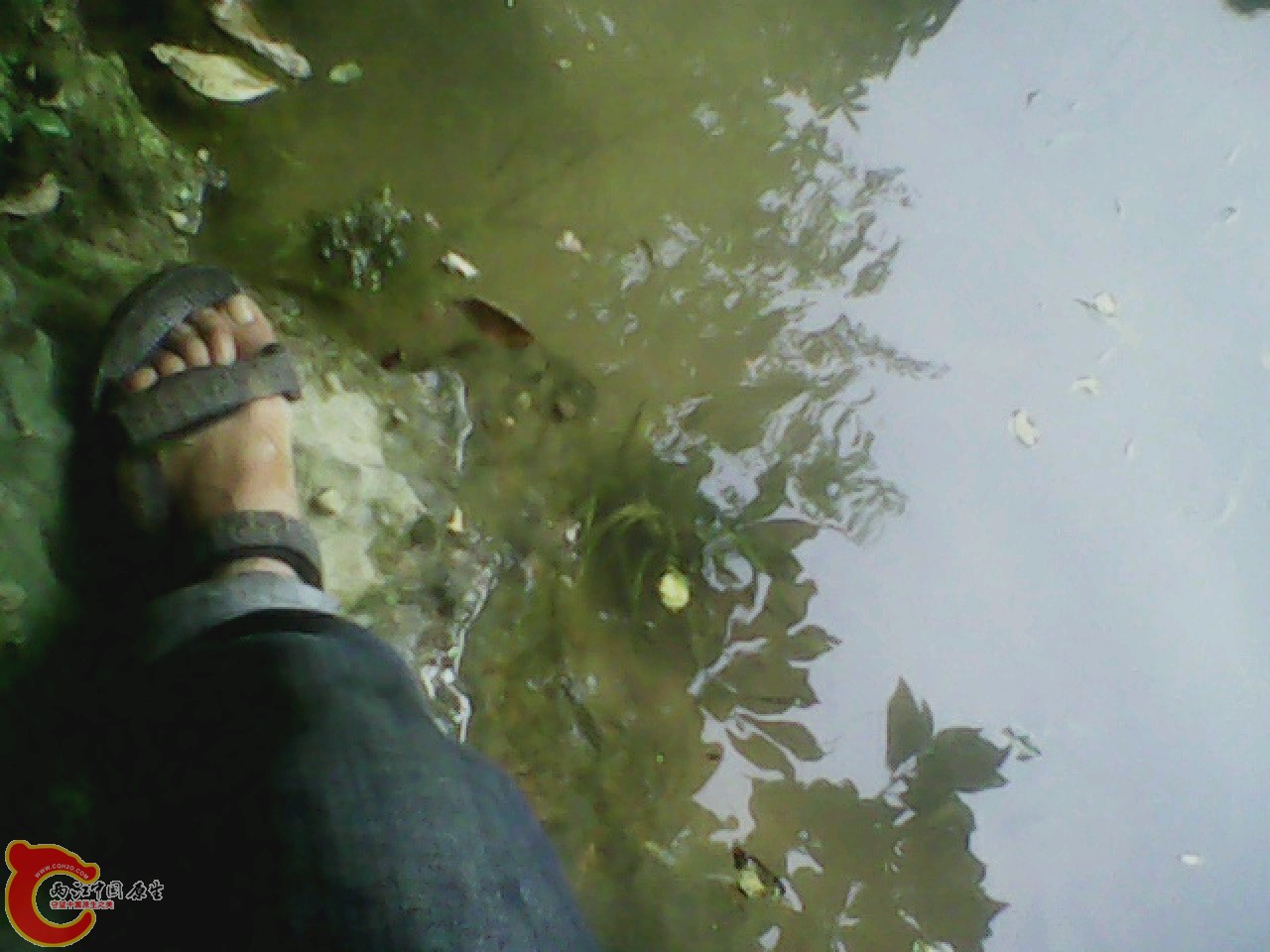 img0811_175403268.jpg