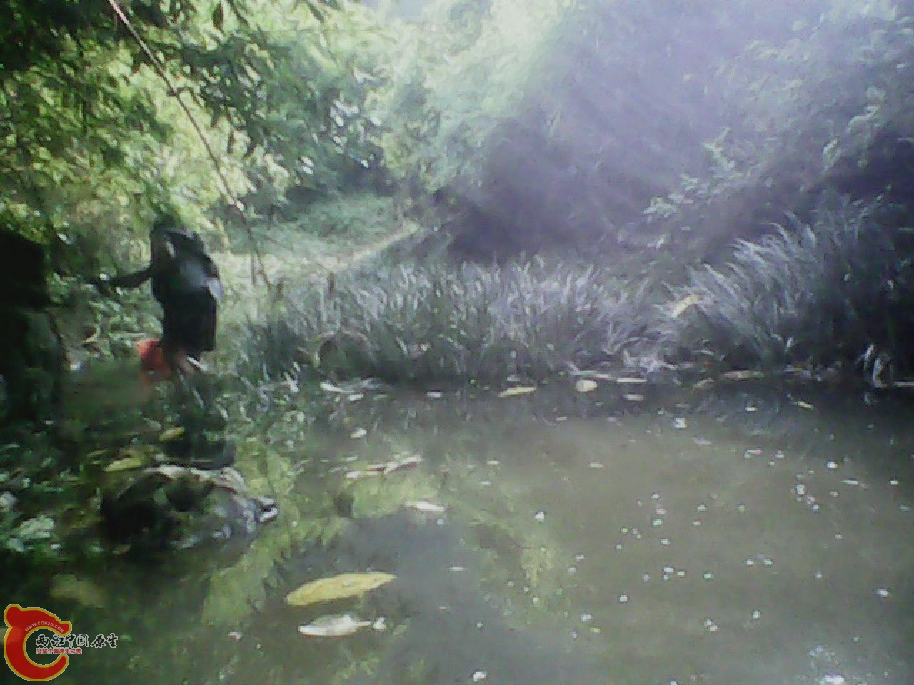 img0811_175531331.jpg