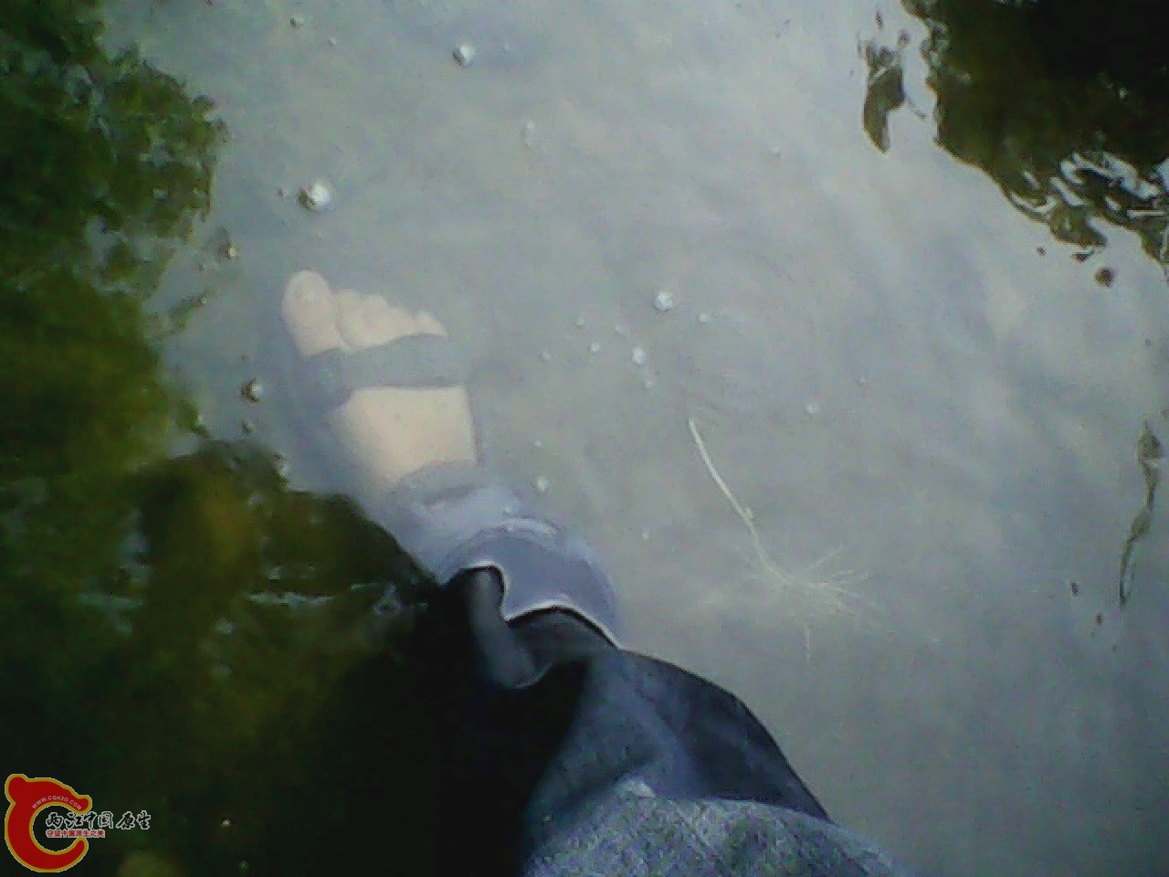 img0811_175727281.jpg