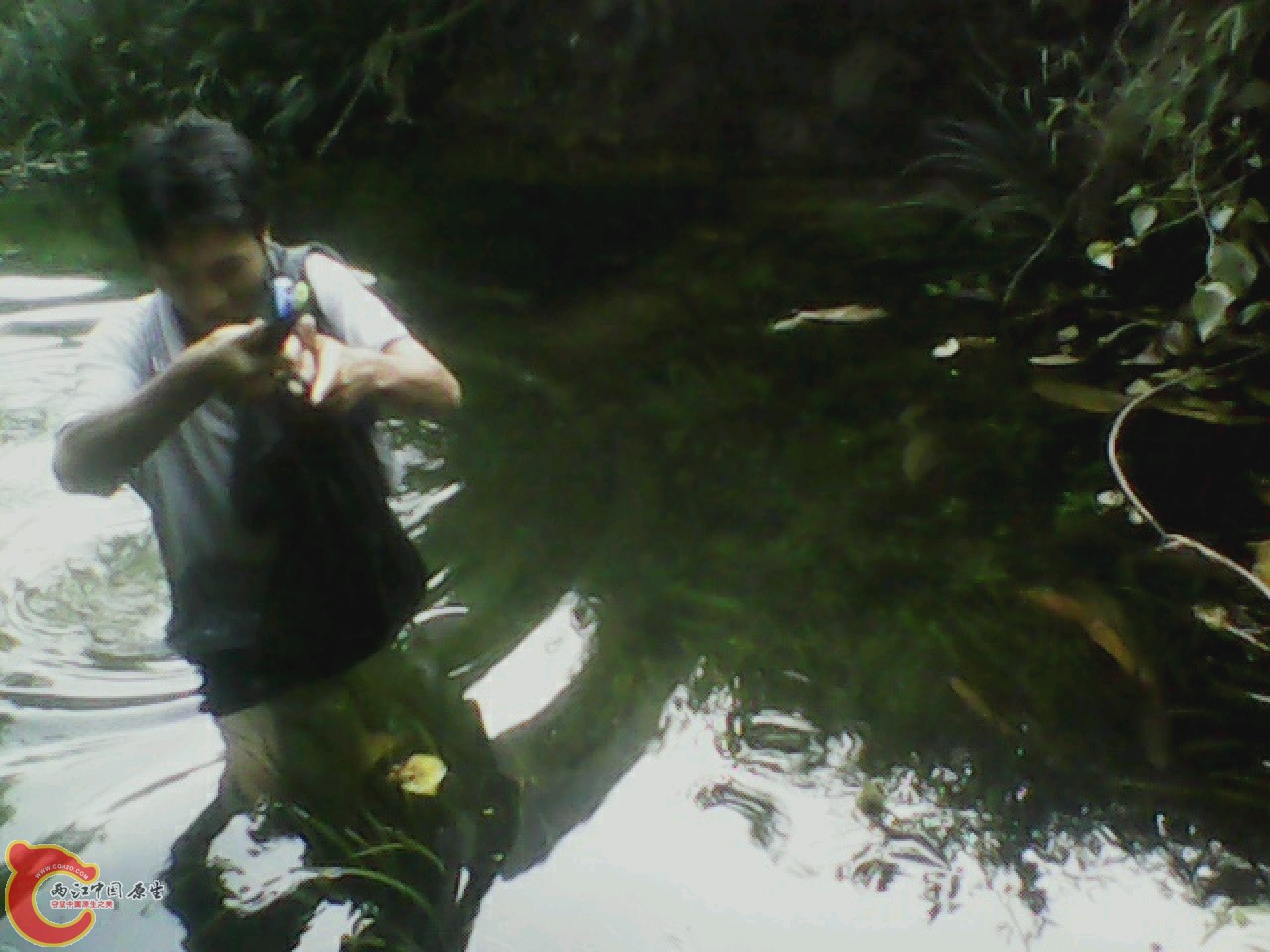 img0811_175330292.jpg