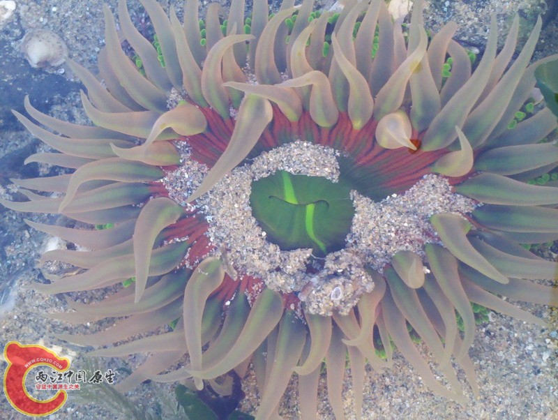 2012-11-18_07-46-31_845.jpg