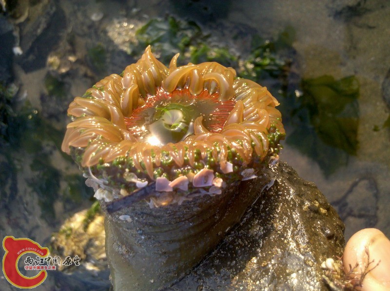 2012-11-18_07-48-18_436.jpg