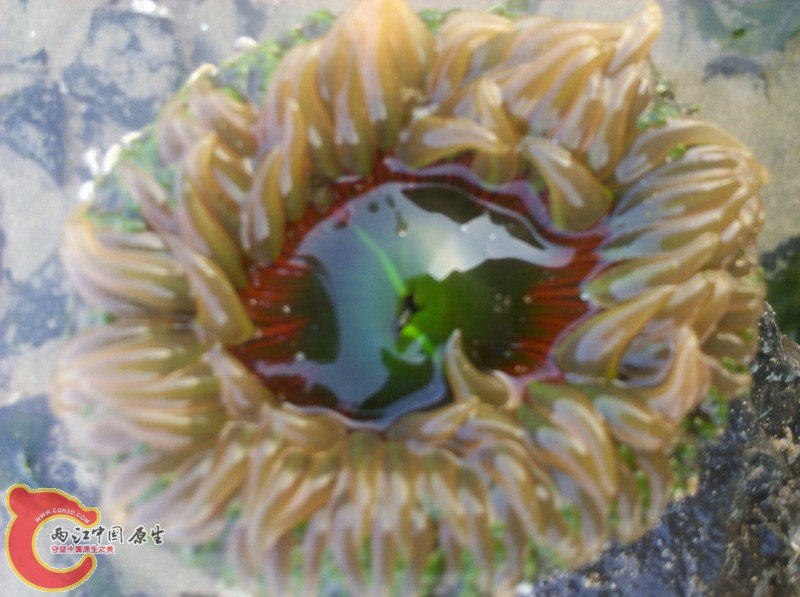 2012-11-18_07-48-29_659.jpg