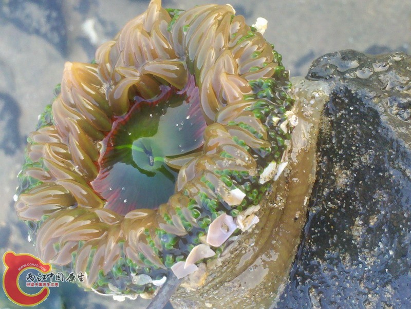 2012-11-18_07-48-40_491.jpg