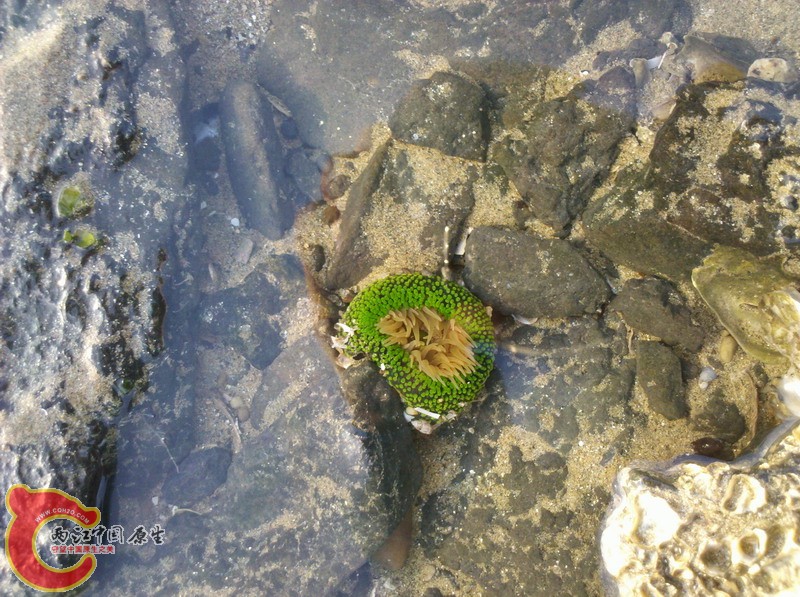 2012-11-18_08-00-34_868.jpg