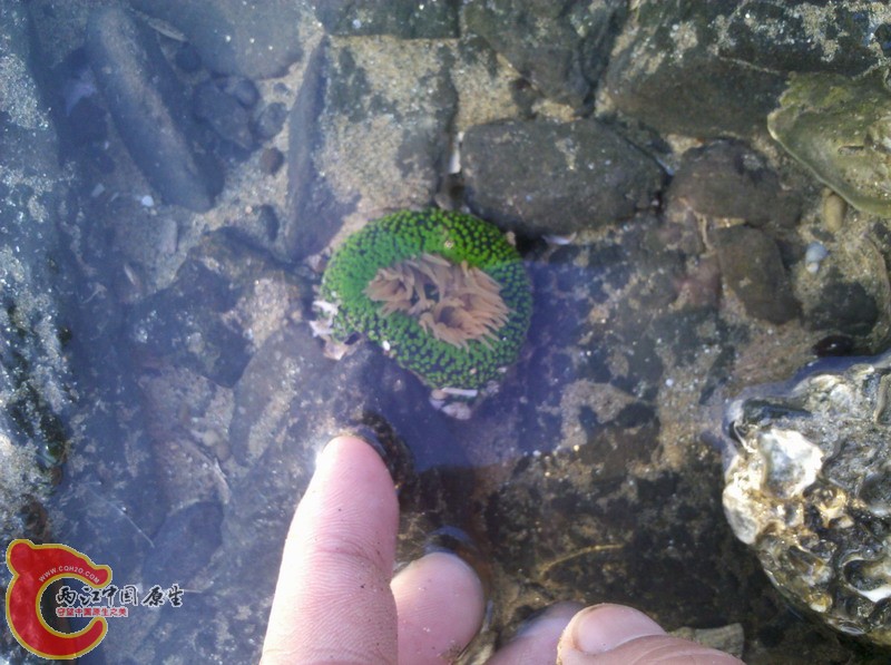 2012-11-18_08-00-44_983.jpg