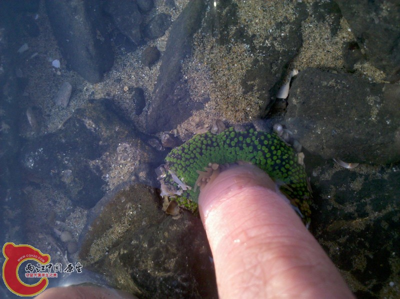 2012-11-18_08-00-58_745.jpg