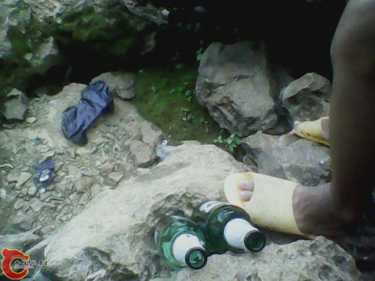 img0811_173802319.jpg