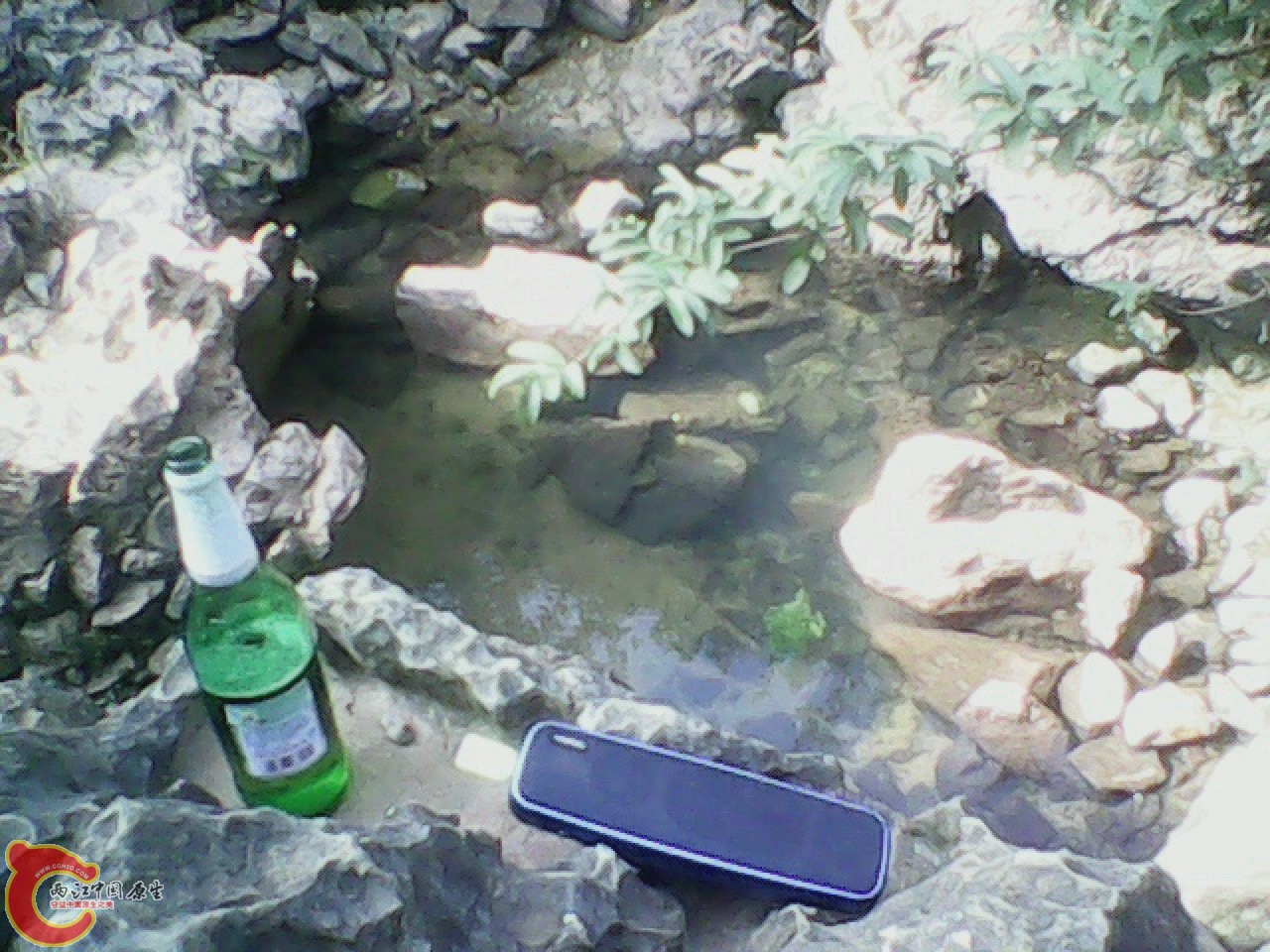 img0811_163339584.jpg