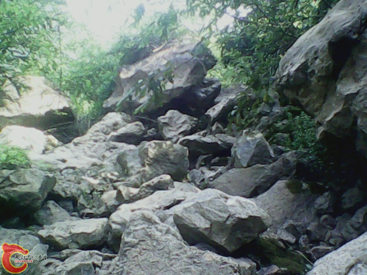 img0811_163556598.jpg