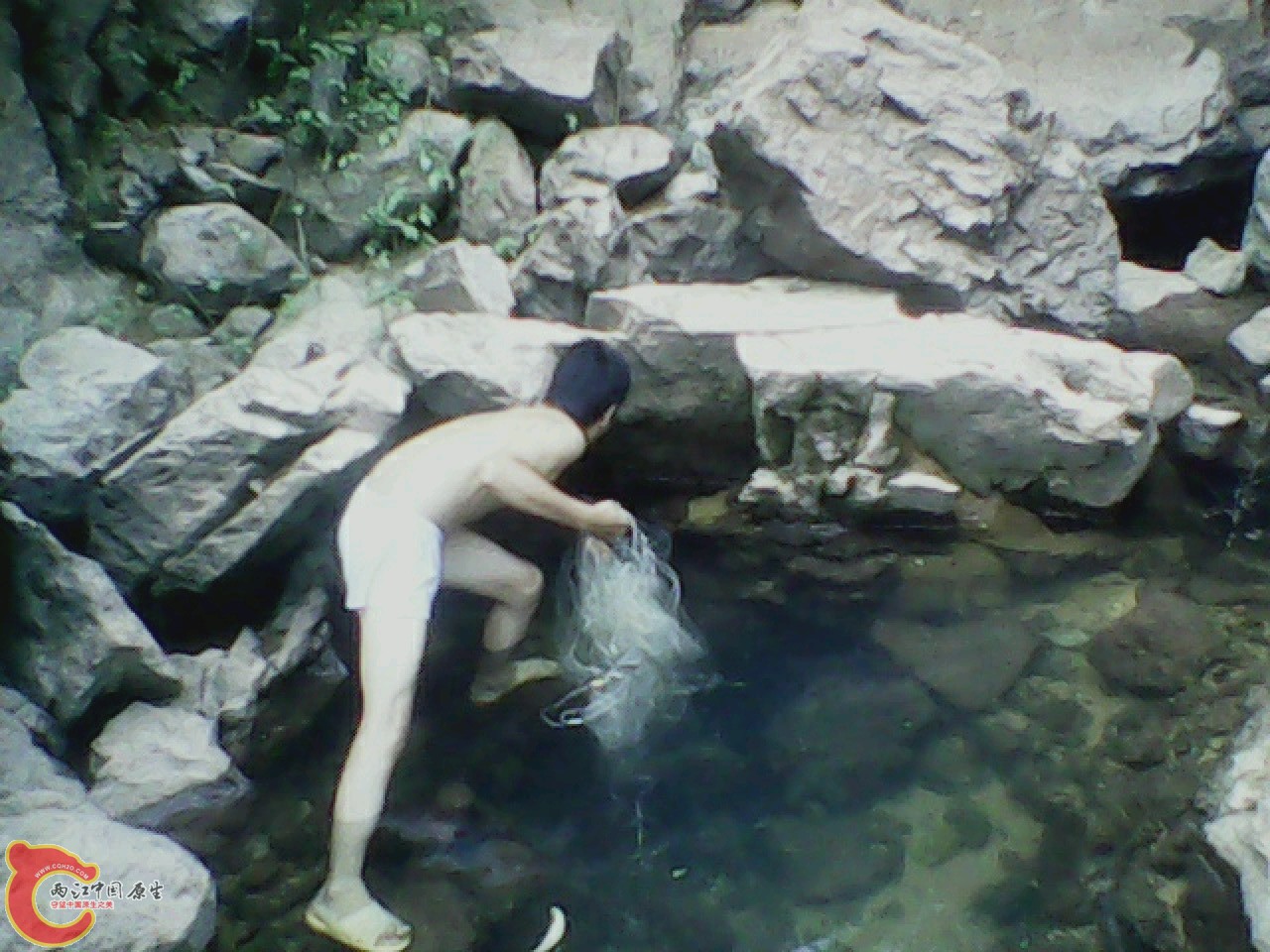 img0811_163718426.jpg