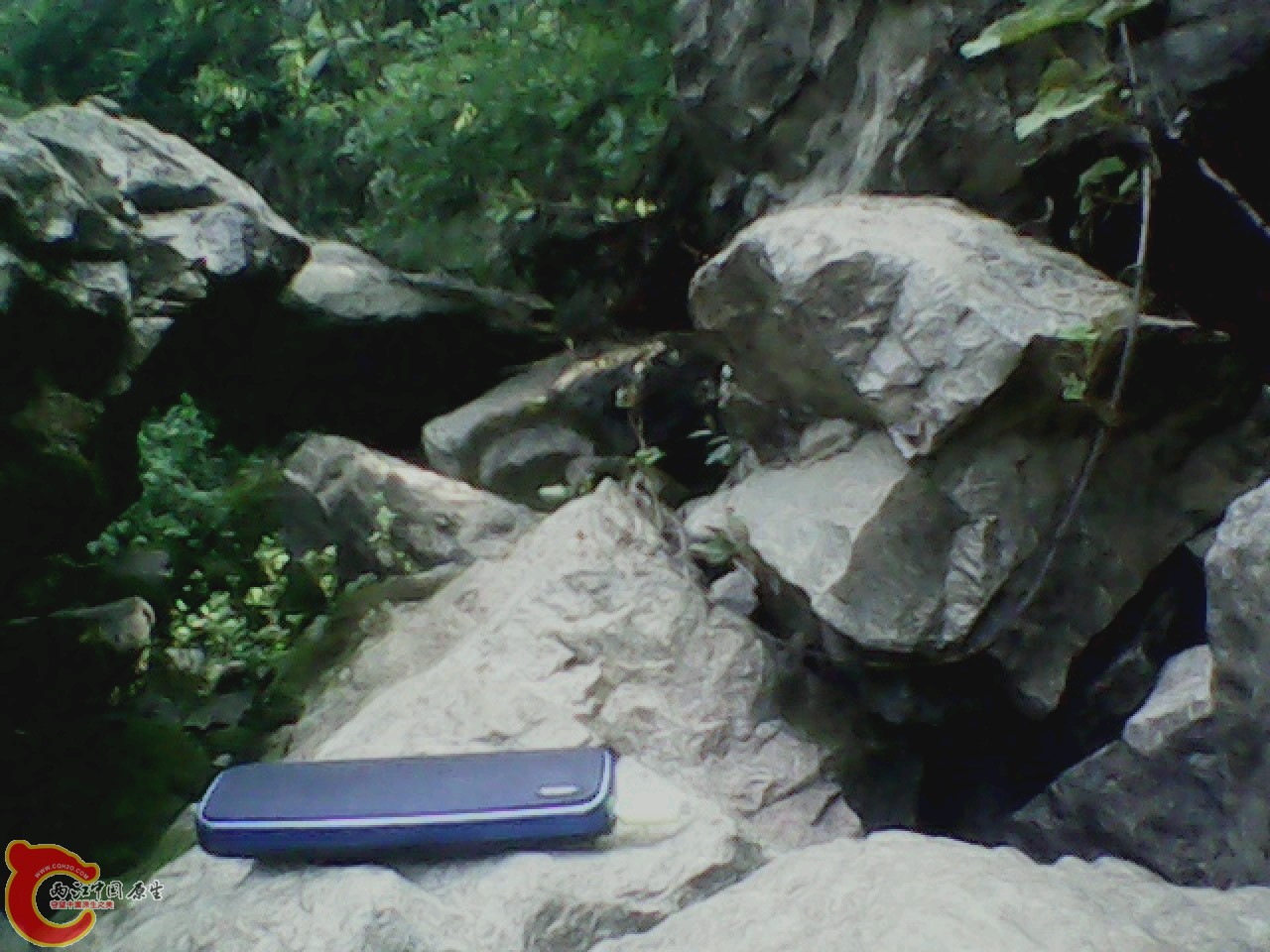 img0811_165904459.jpg
