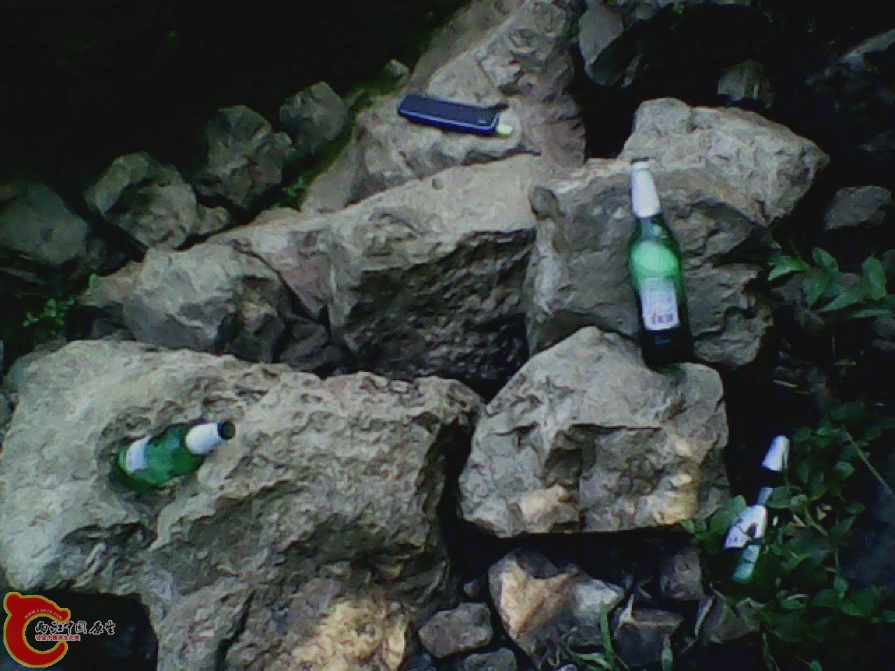 img0811_170034063.jpg