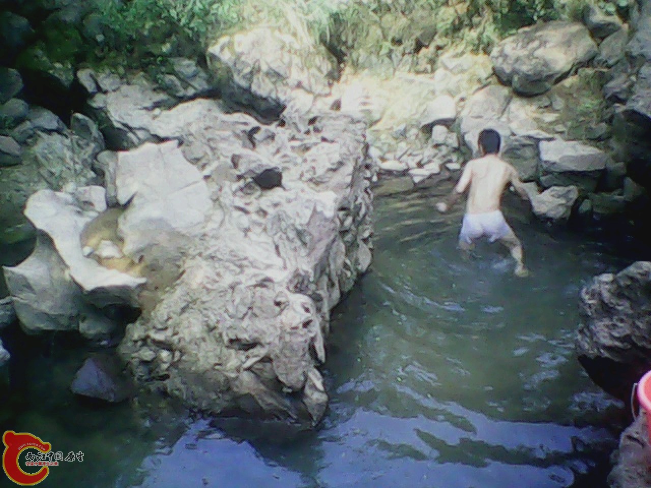 img0811_172206854.jpg