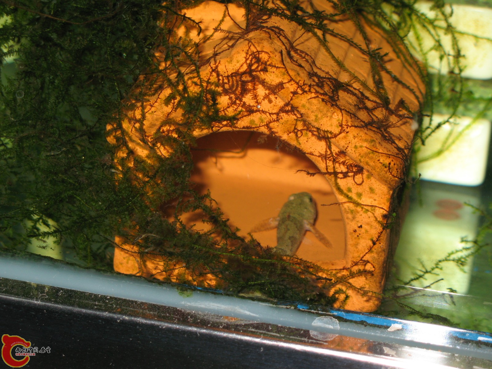 看到镜头，马上掉头。