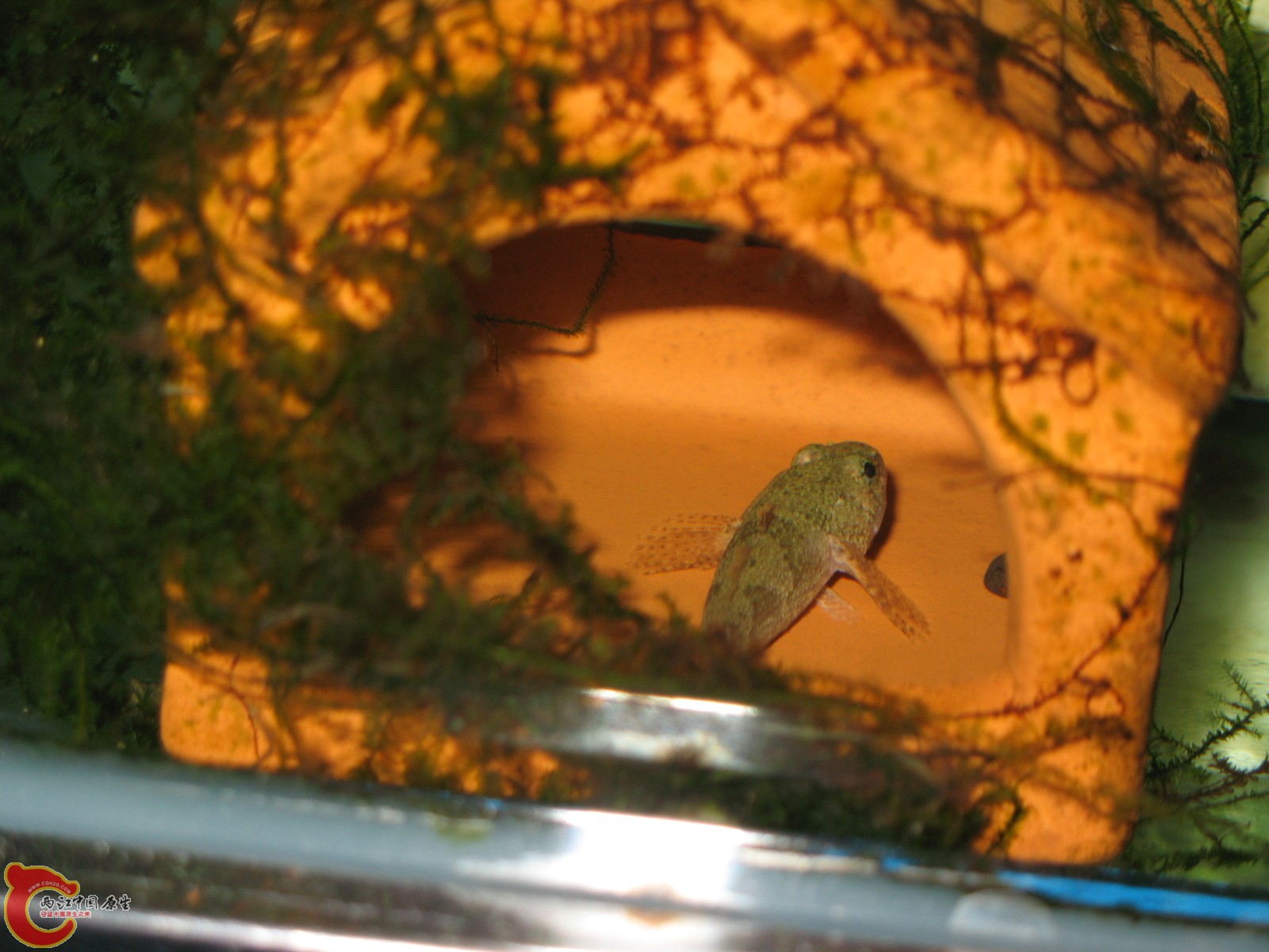 看到镜头，马上掉头