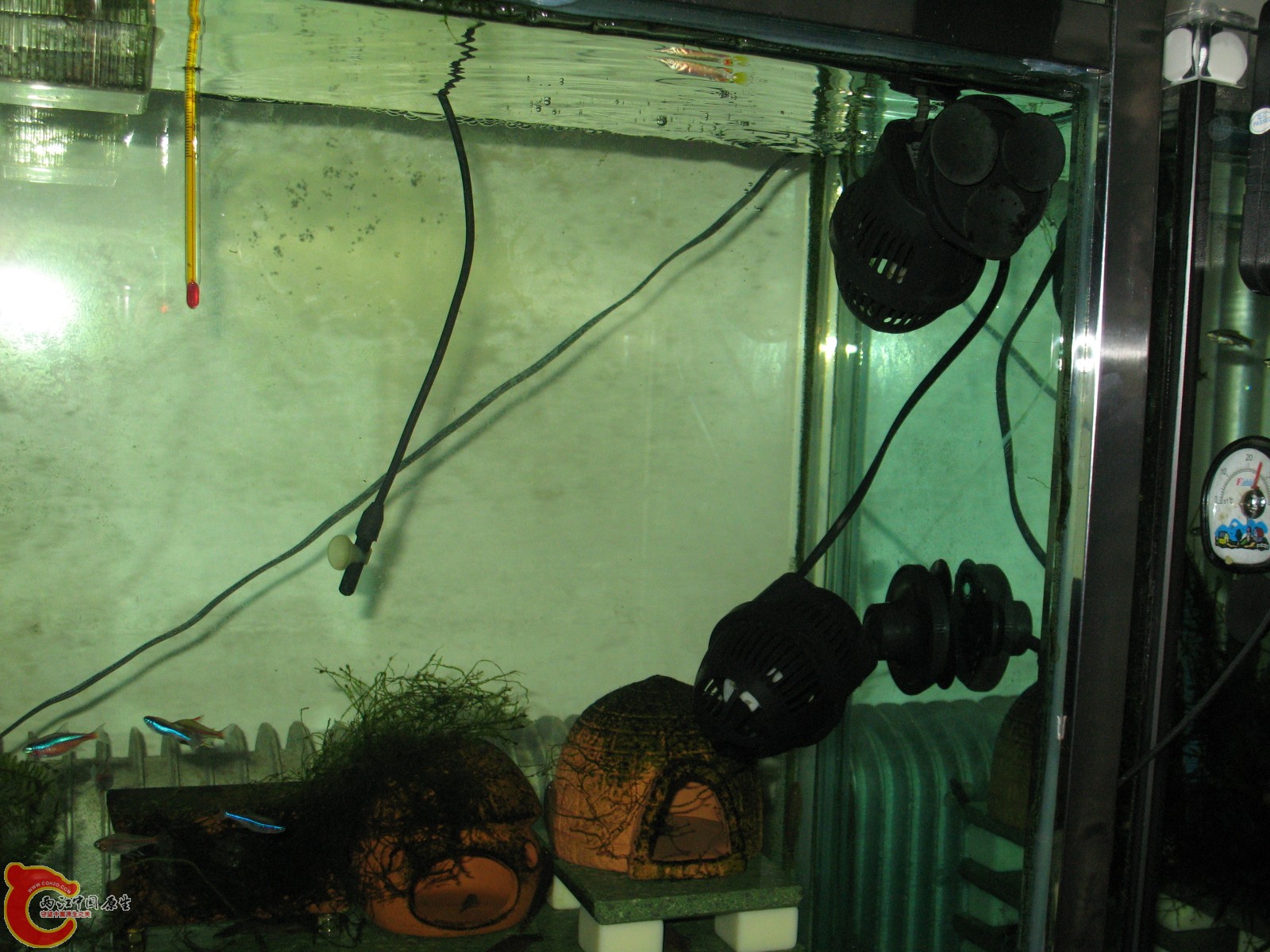 两个造流泵（3W）