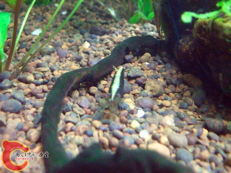 2012-11-12 19.52.47_副本.jpg