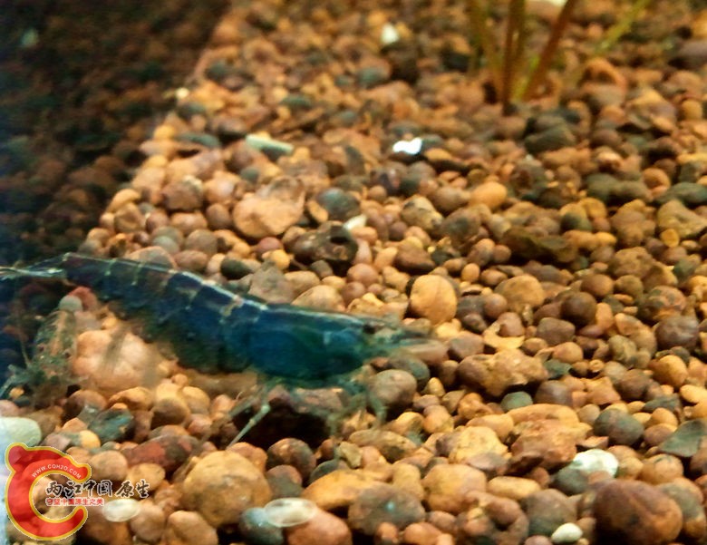 2012-11-18 18.37.41_副本.jpg