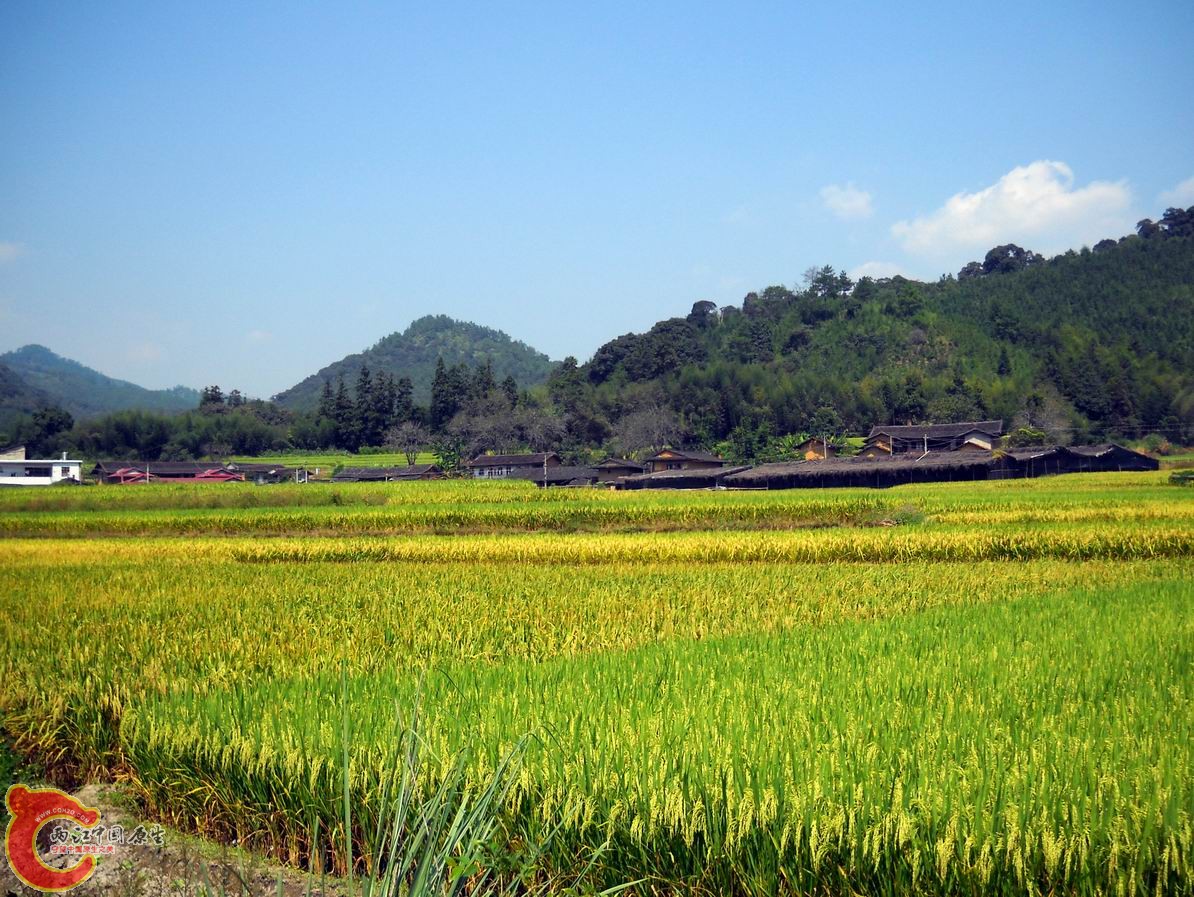调整大小 DSCN2970.JPG
