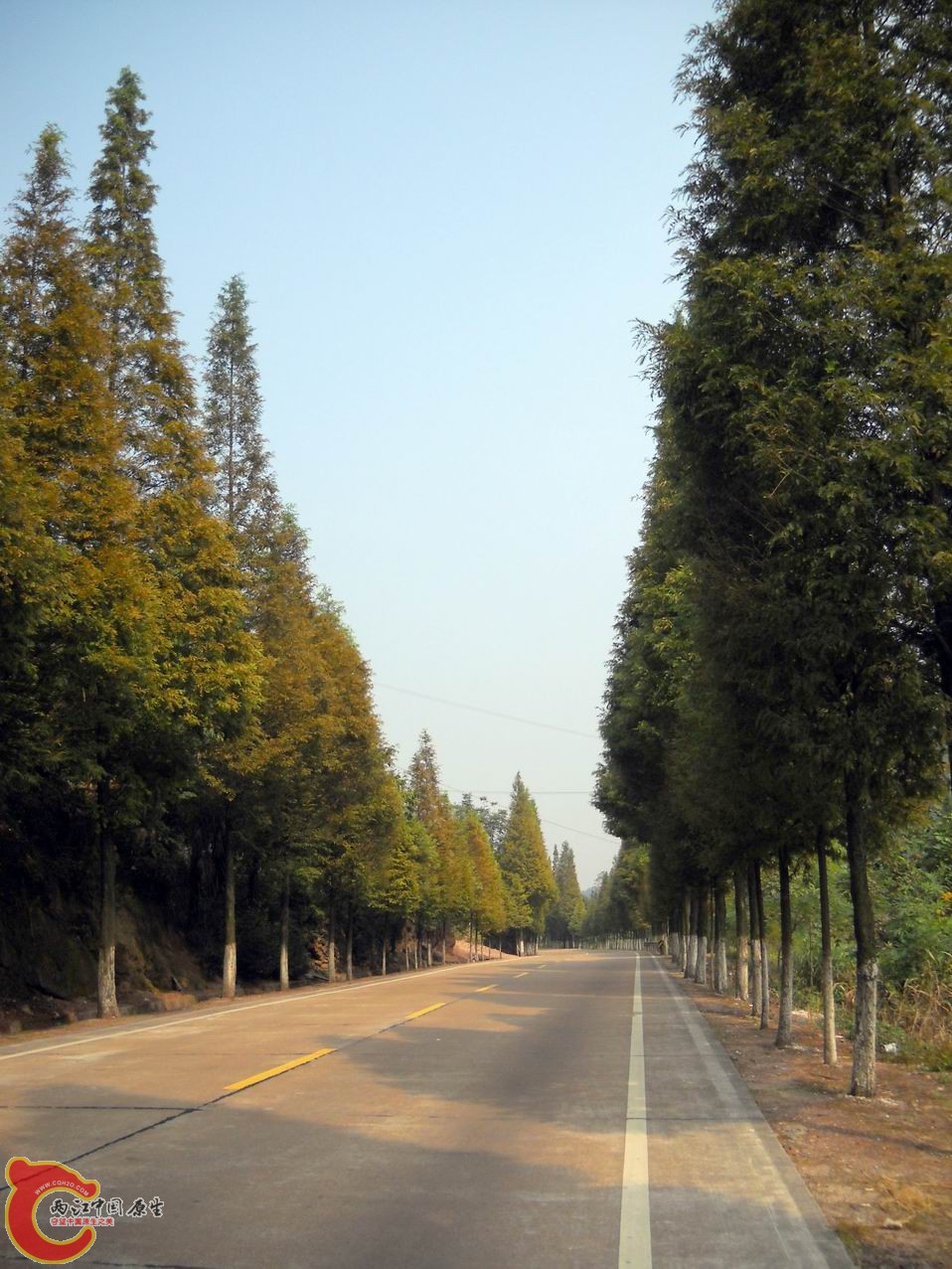 调整大小 DSCN3029.JPG