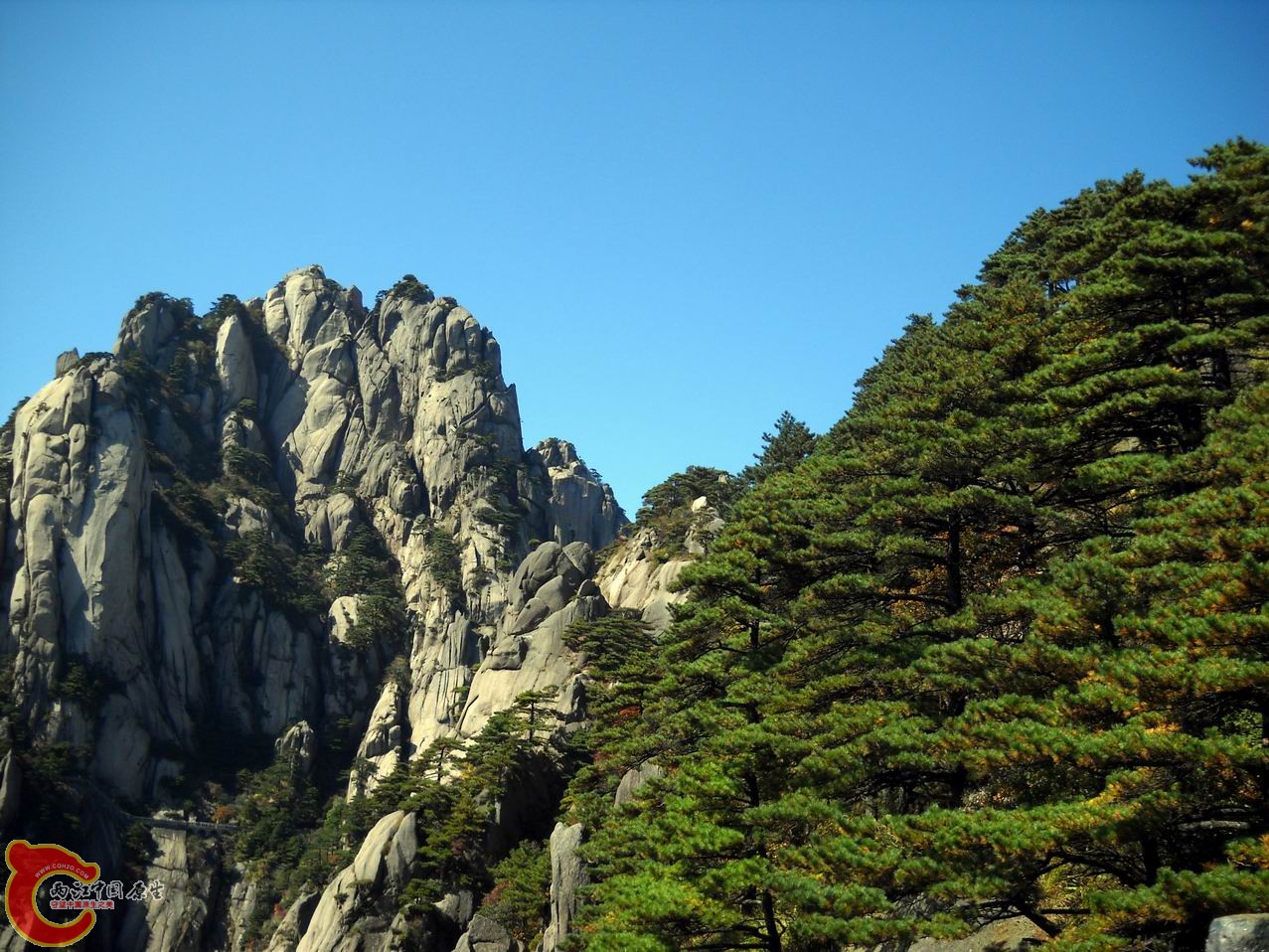 调整大小 DSCN3100.JPG