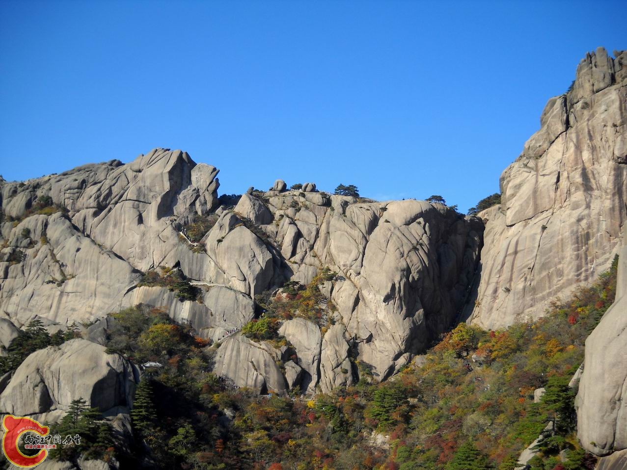 调整大小 DSCN3112.JPG