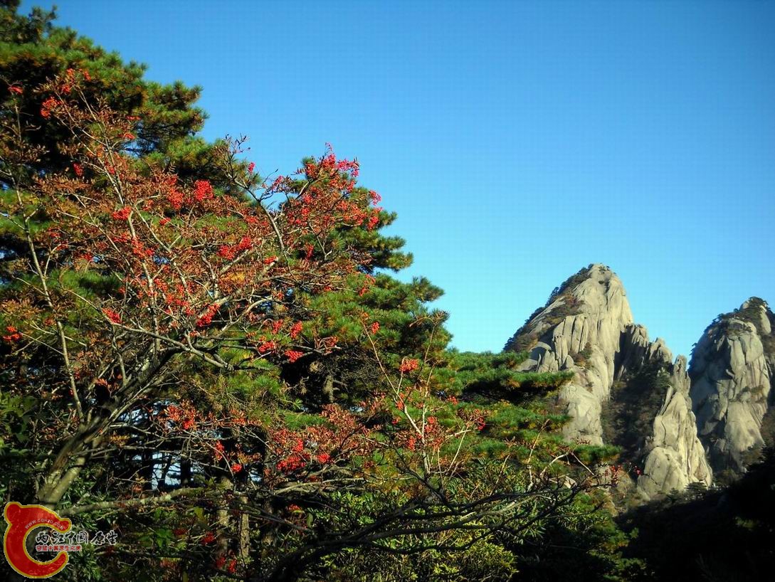 调整大小 DSCN3120.JPG