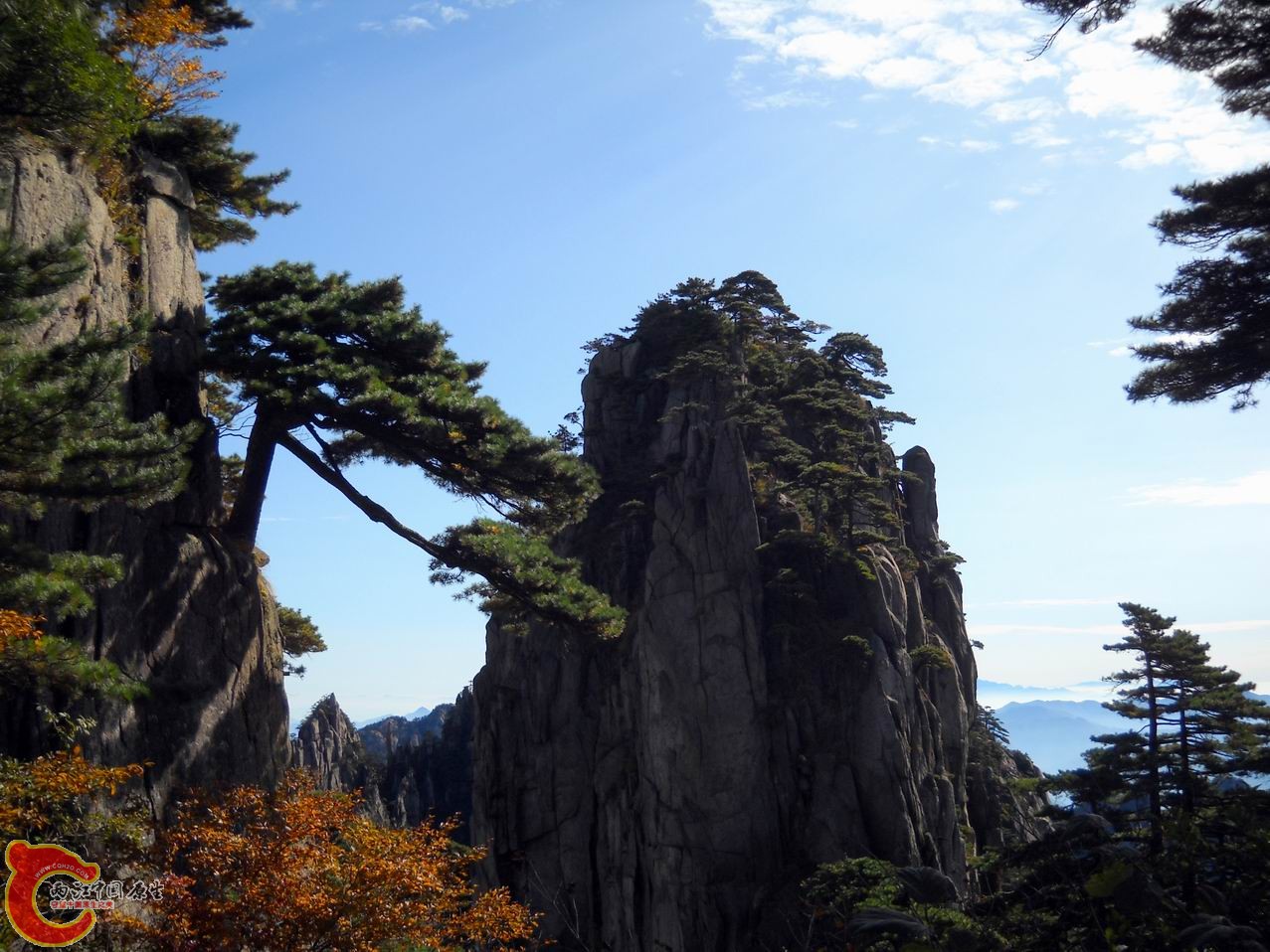 调整大小 DSCN3137.JPG