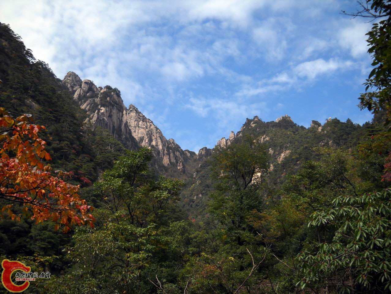 调整大小 DSCN3145.JPG