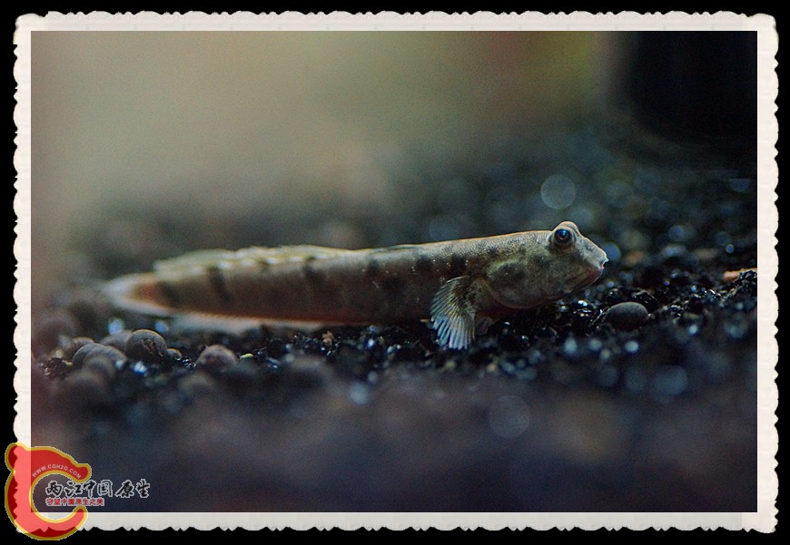 DSC00510_副本.jpg