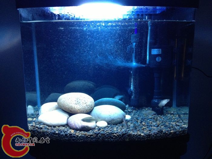 为发色 大改造 黑工沙 鹅卵石