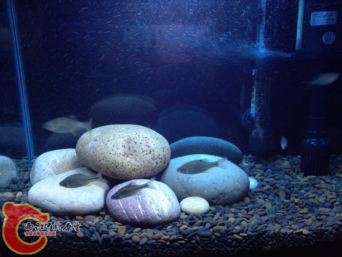 画面好 但手机实在无能为力 哈哈