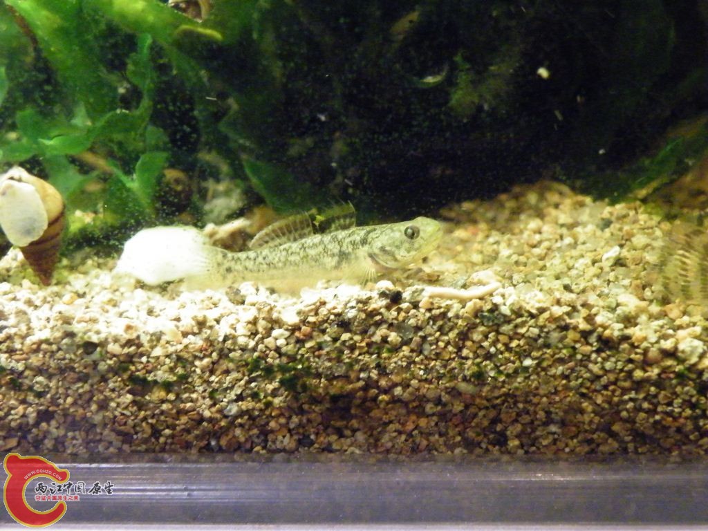 DSCF8698.JPG