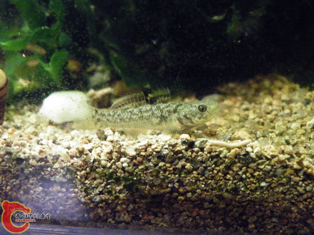 DSCF8699.JPG