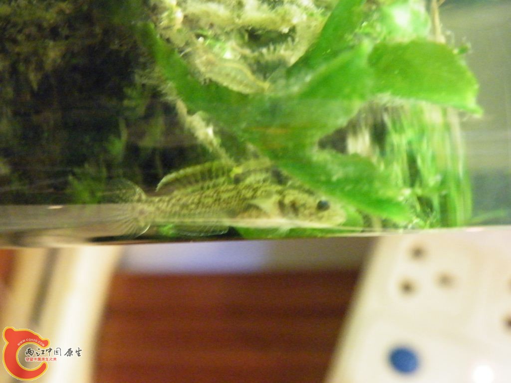 DSCF8707.JPG