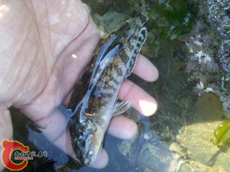 2012-11-24_13-18-33_796.jpg