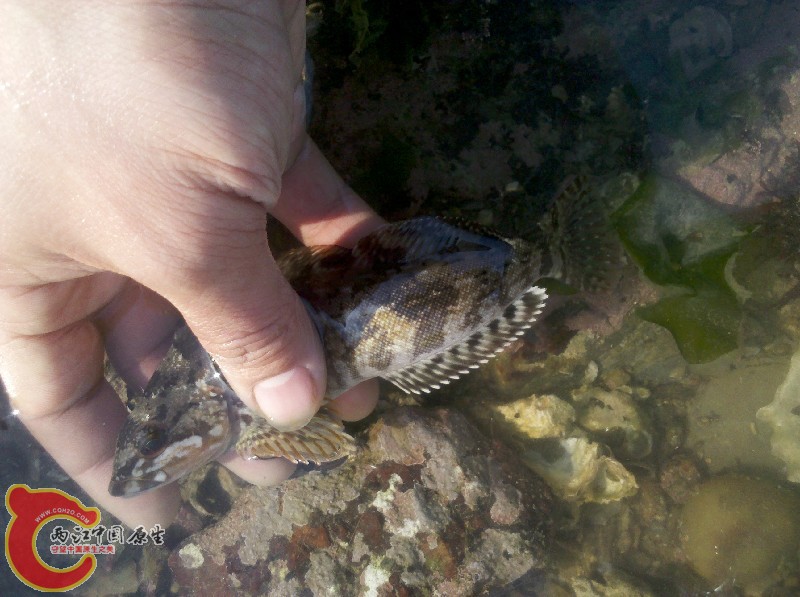 2012-11-24_13-18-55_400.jpg